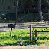 Review photo of Indian Flat RV Park by Heidi J., May 2, 2026