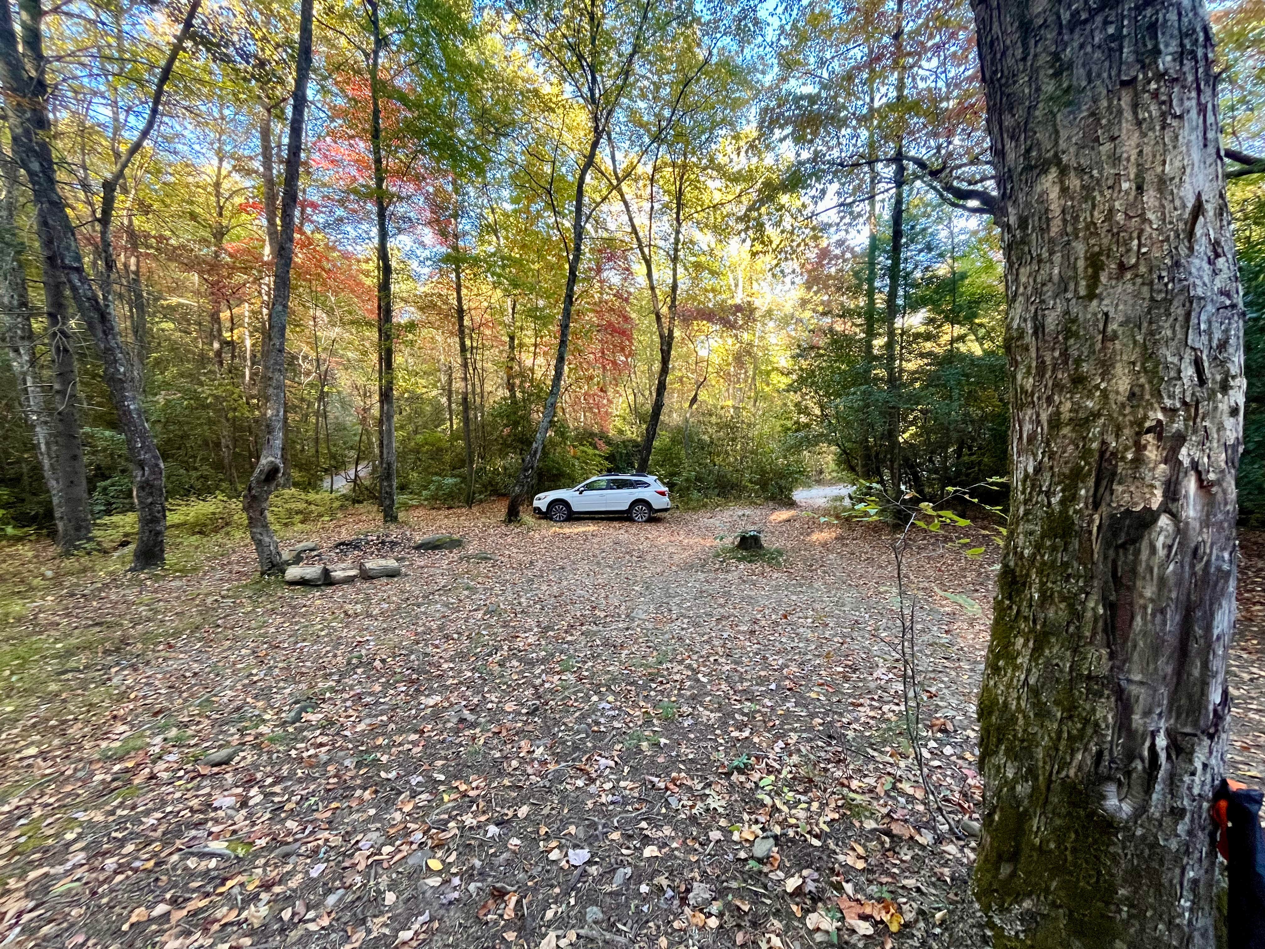 Camper submitted image from Indian Grave Gap Campsite - 4