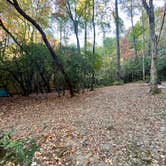 Review photo of Indian Grave Gap Campsite by Gillian S., October 13, 2024