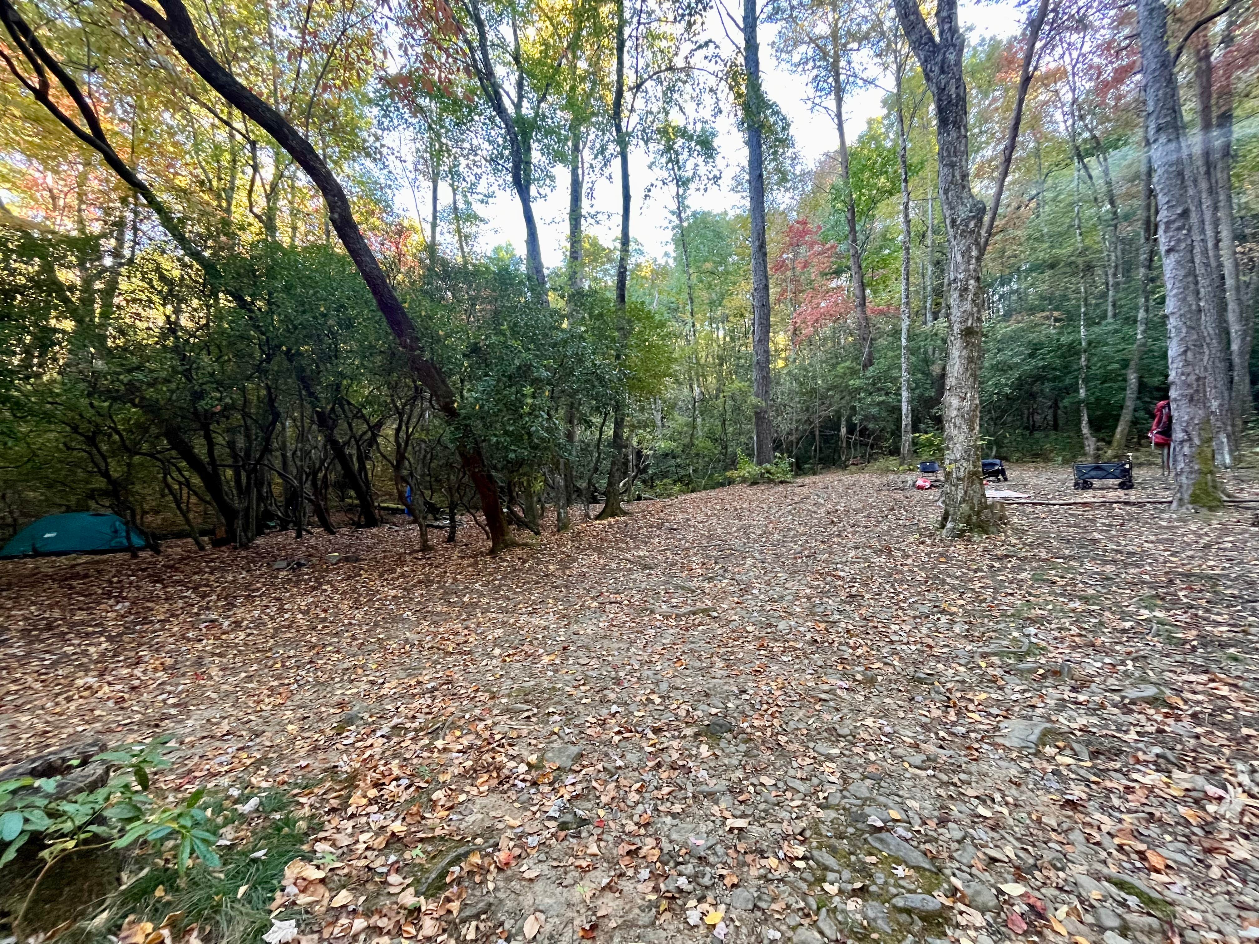 Camper submitted image from Indian Grave Gap Campsite - 5