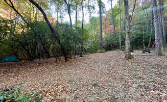 Gillian S.'s photo of tent camping at Indian Grave Gap Campsite near Hiawassee, GA