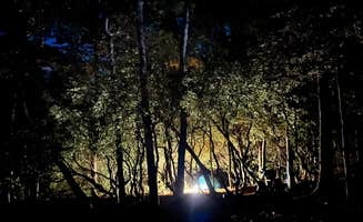 Gillian S.'s photo of a dispersed camping area at Indian Grave Gap Campsite near Murrayville, GA