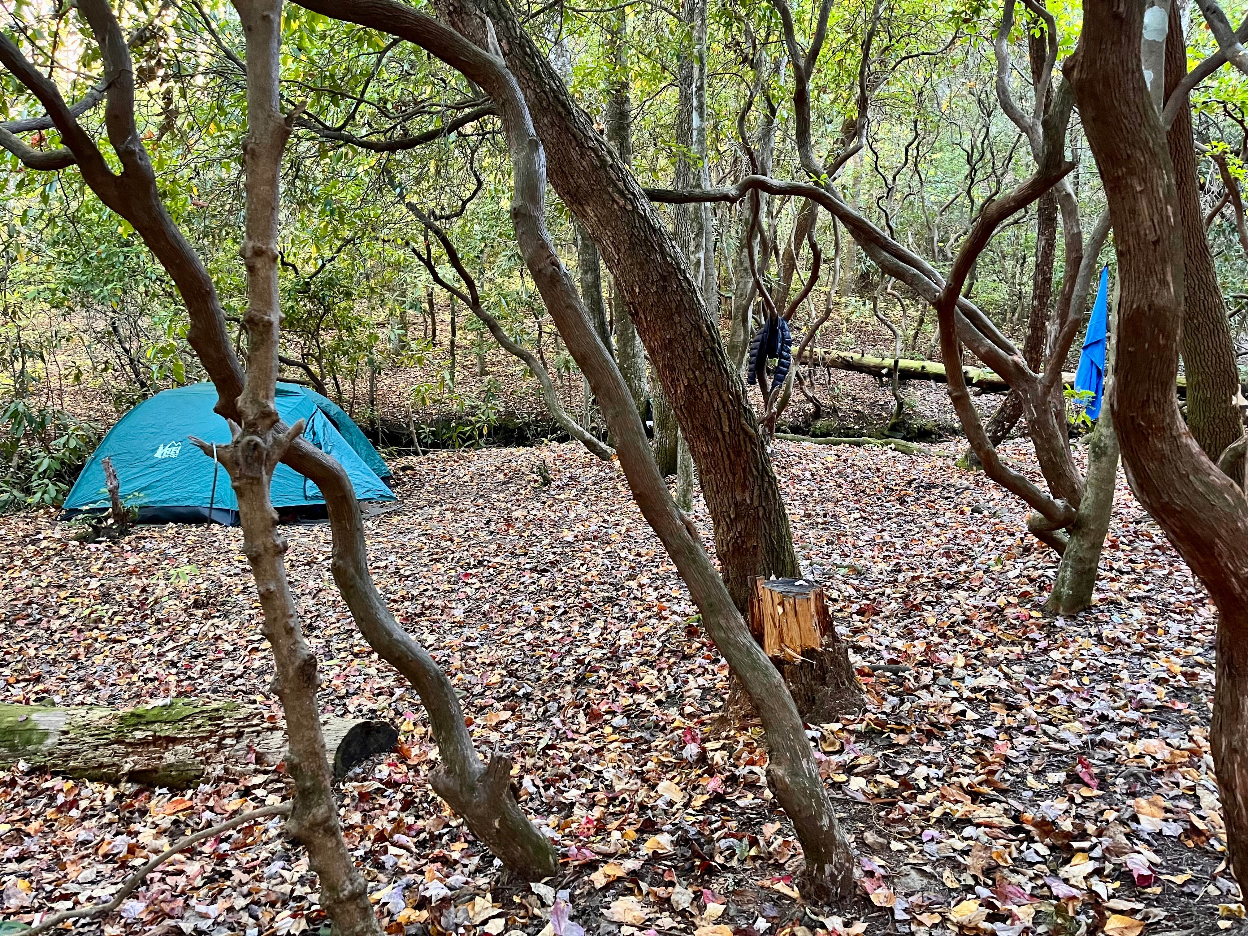 Gillian S.'s photo of a dispersed camping area at Indian Grave Gap Campsite near Lake Sidney Lanier