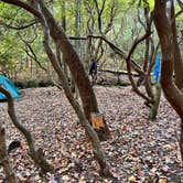 Review photo of Indian Grave Gap Campsite by Gillian S., October 13, 2024