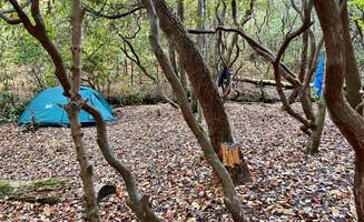 Gillian S.'s photo of a dispersed camping area at Indian Grave Gap Campsite near Seneca, SC