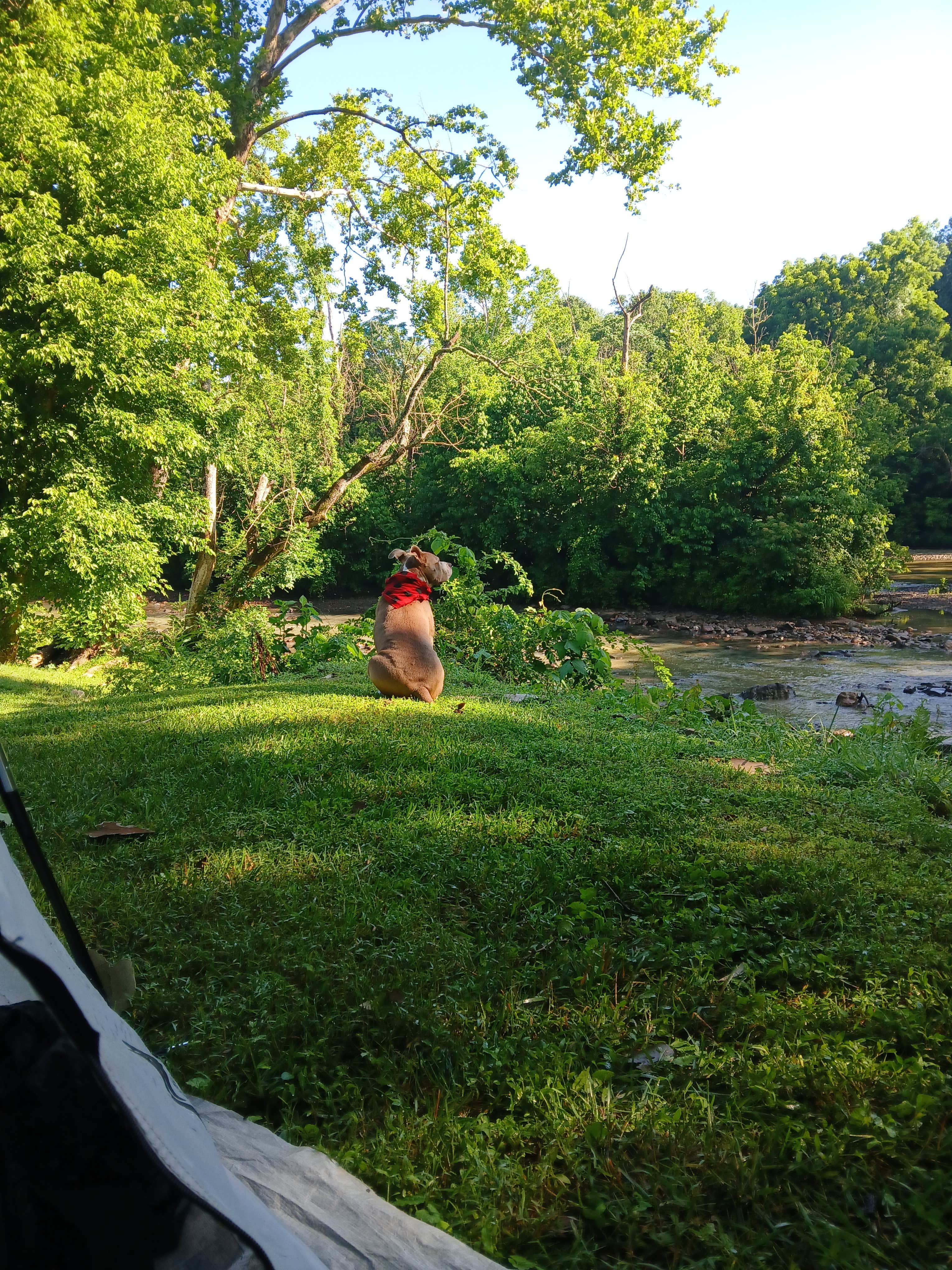 Camper-submitted photo at Indian Heritage RV Park near Eden, NC