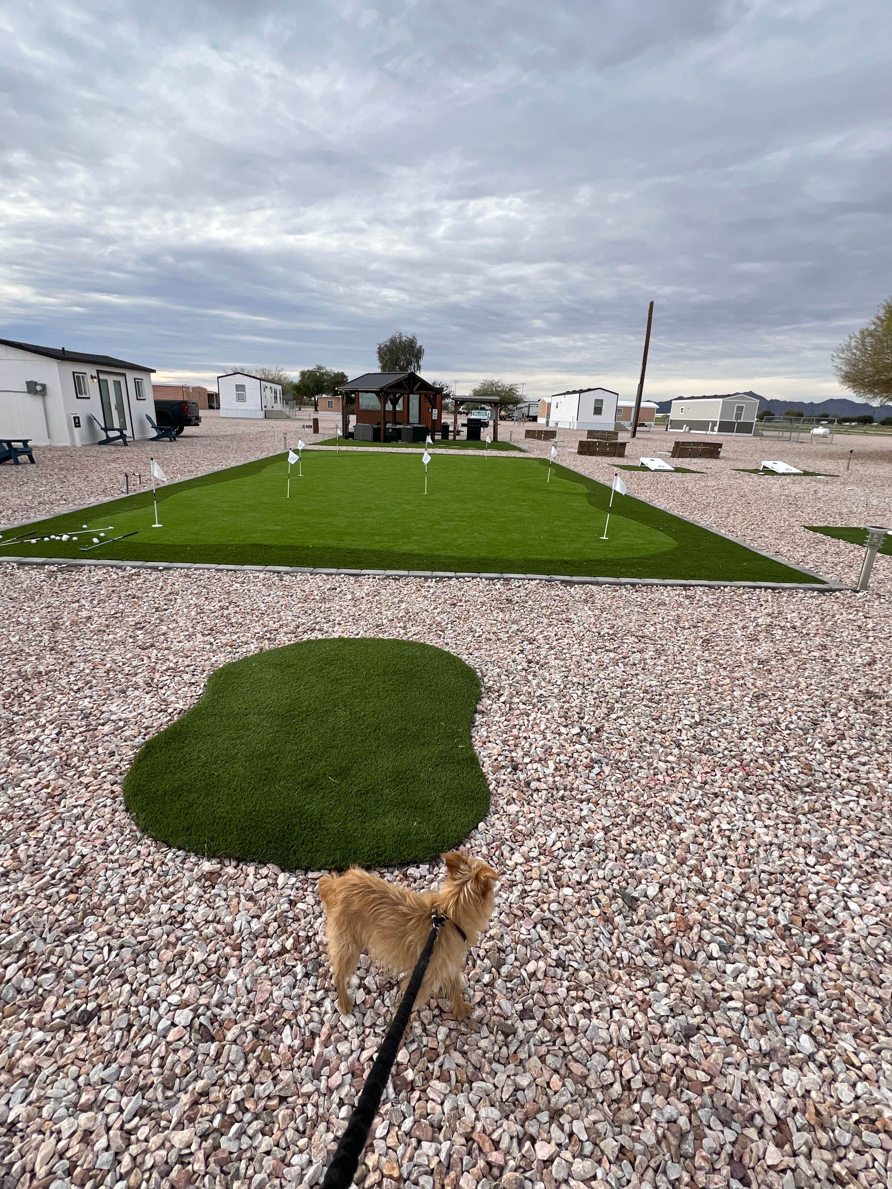 Camper-submitted photo at Indian Hills RV Resort near Salome, AZ