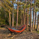 Review photo of Indian Island Canoe Campsite on Crane Lake by Amy G., August 12, 2024