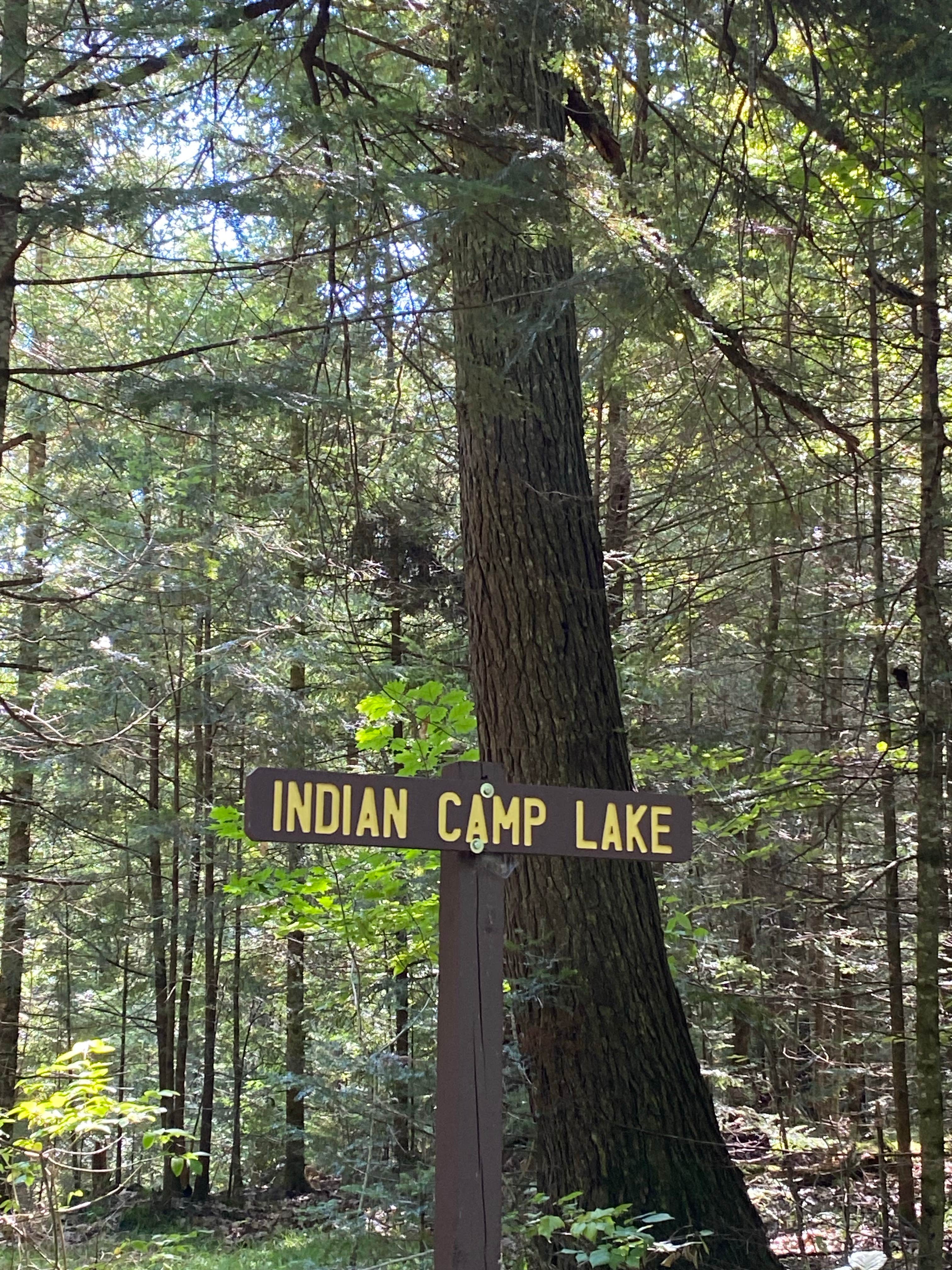 Camper-submitted photo at Indian Lake near Trout Creek, MI