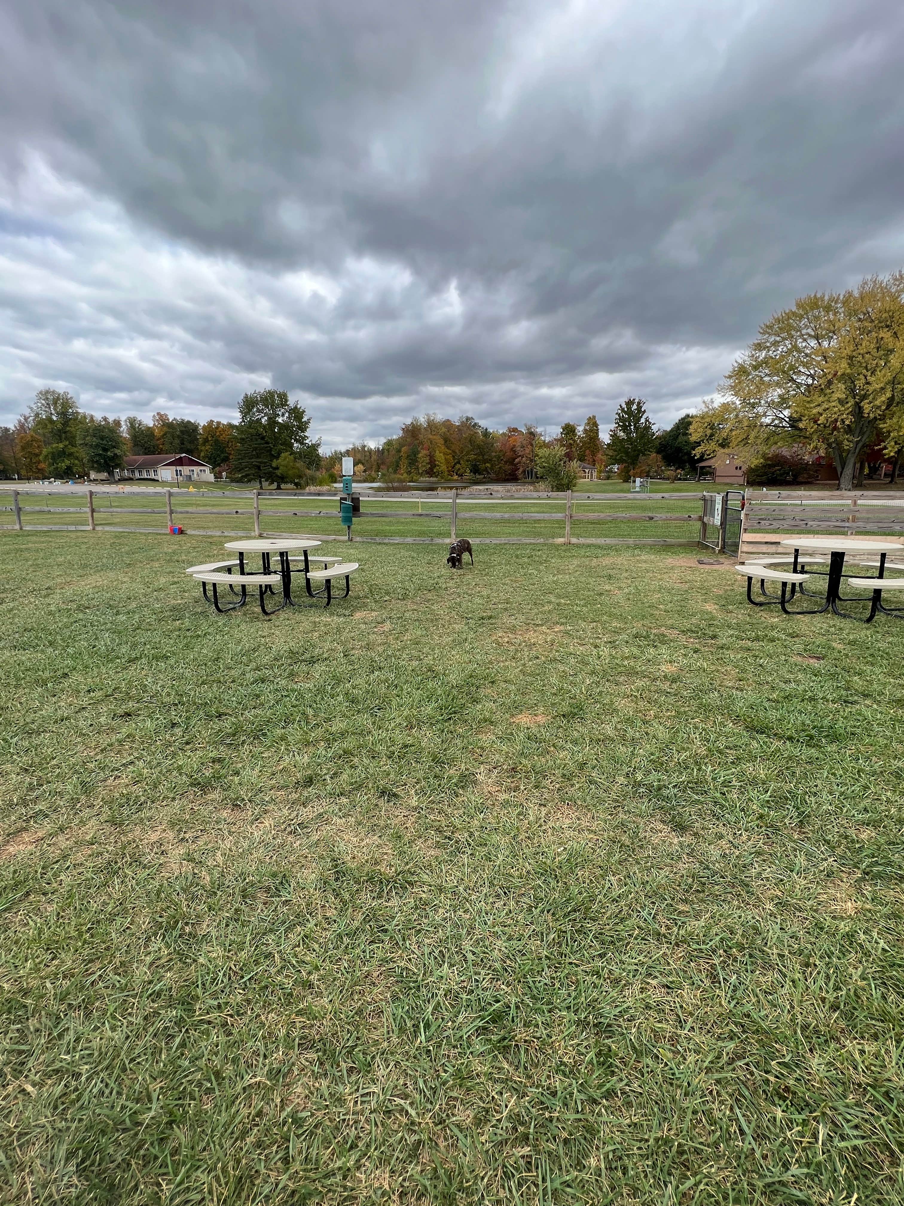 Emerson F.'s photo of camping with pets at Thousand Trails Indian Lakes near Ross, OH