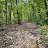 Review photo of Indian Meadows Campground - Loud Thunder Forest Preserve by Wendy R., September 26, 2024