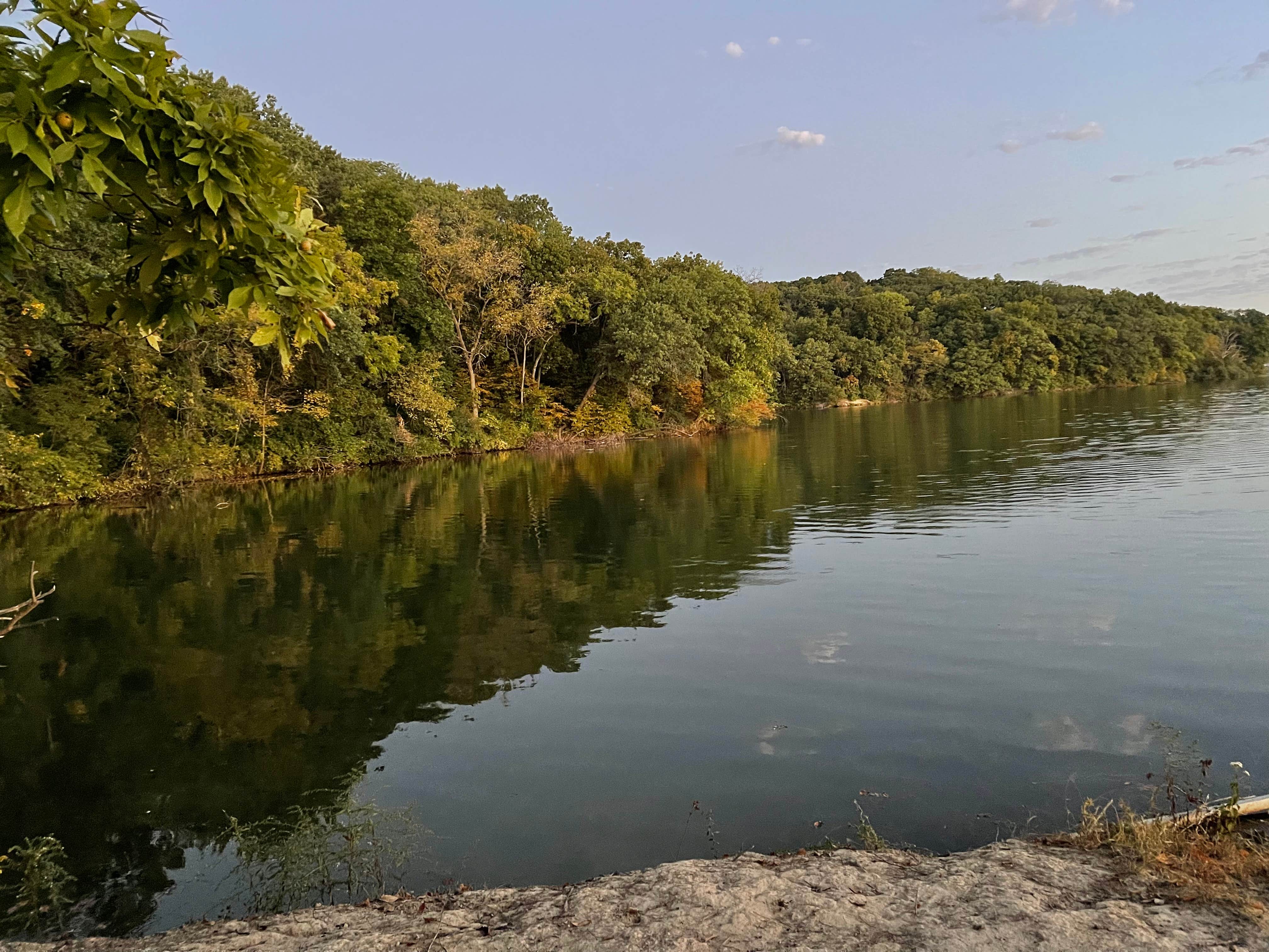 Camper-submitted photo at Indian Meadows Campground - Loud Thunder Forest Preserve near West Liberty, IA