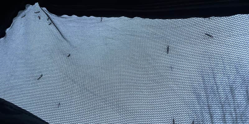 Camper submitted image from Indian River Roadside Camp