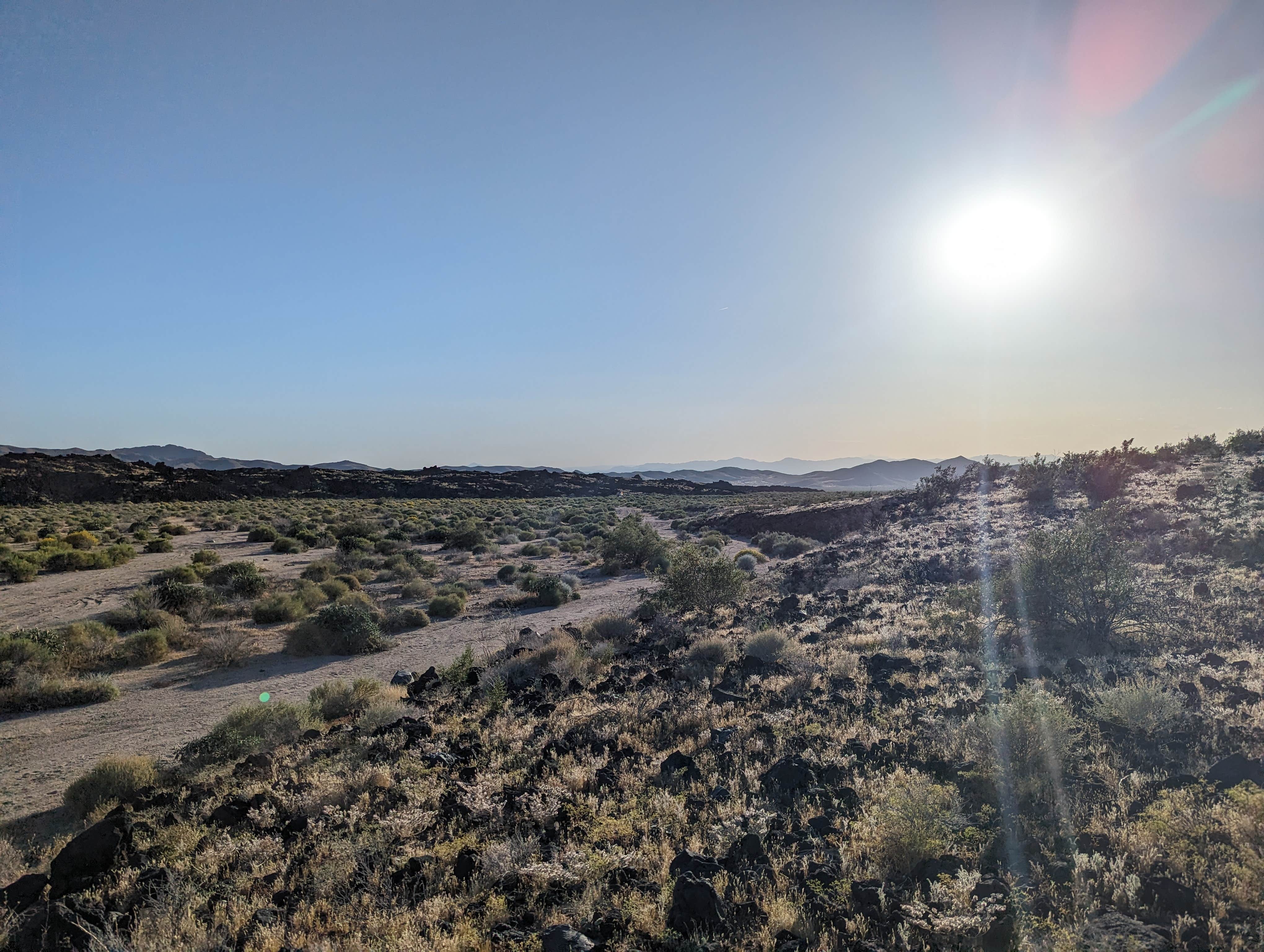 Camper submitted image from Indian Springs near lava field — Mojave National Preserve - 1