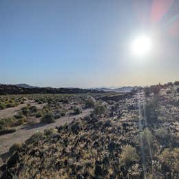 Indian Springs near lava field — Mojave National Preserve