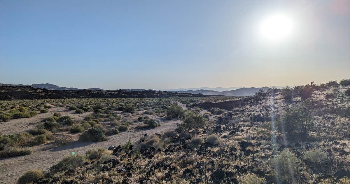 Indian Springs near lava field — Mojave National Preserve