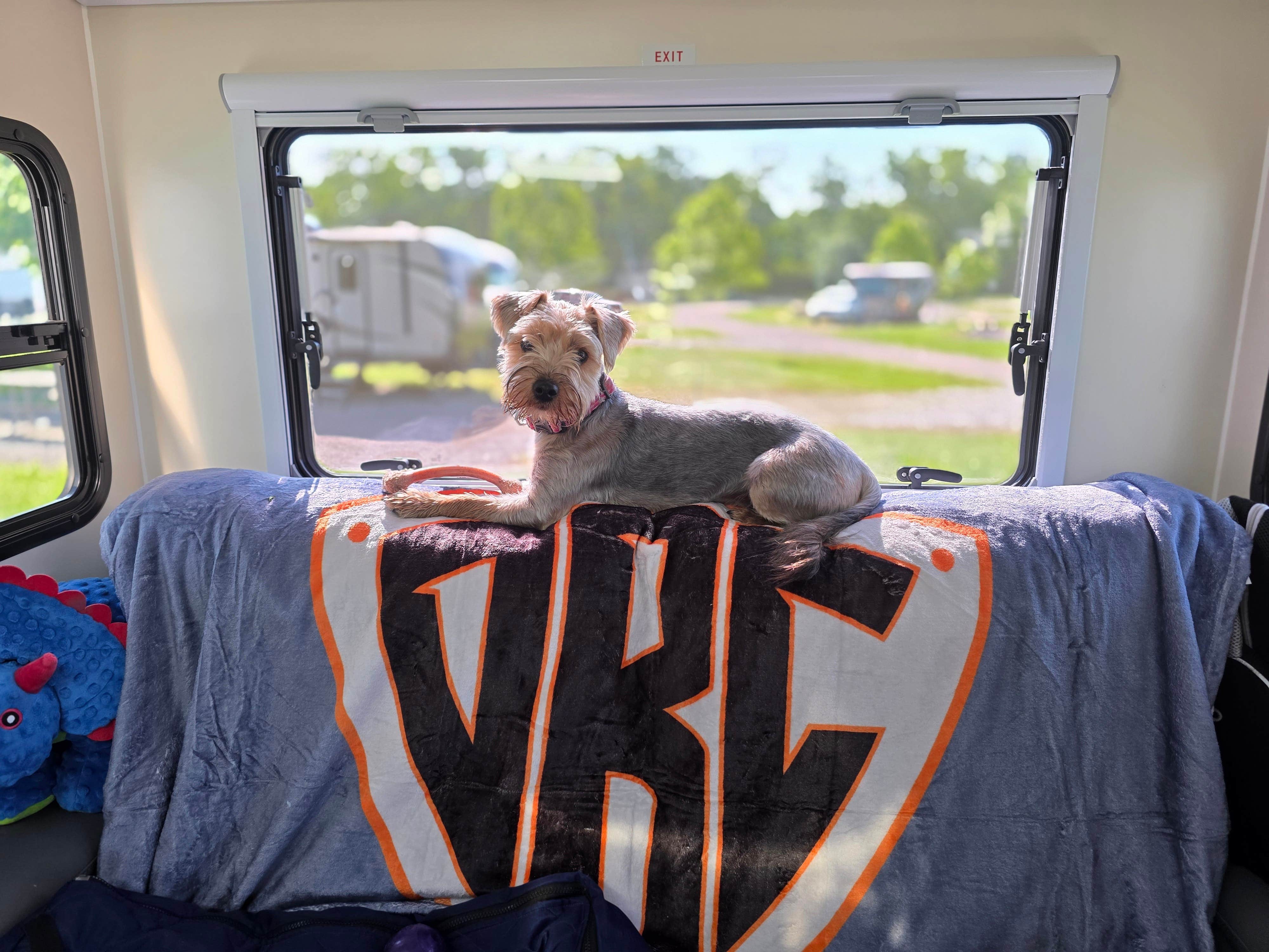 Camper-submitted photo at Camp Atterbury Campground near Morgantown, IN