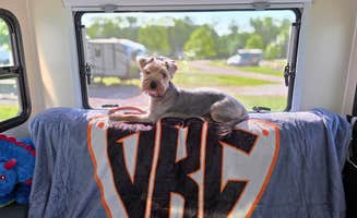 Jason's photo of camping with pets at Camp Atterbury Campground near New Palestine, IN