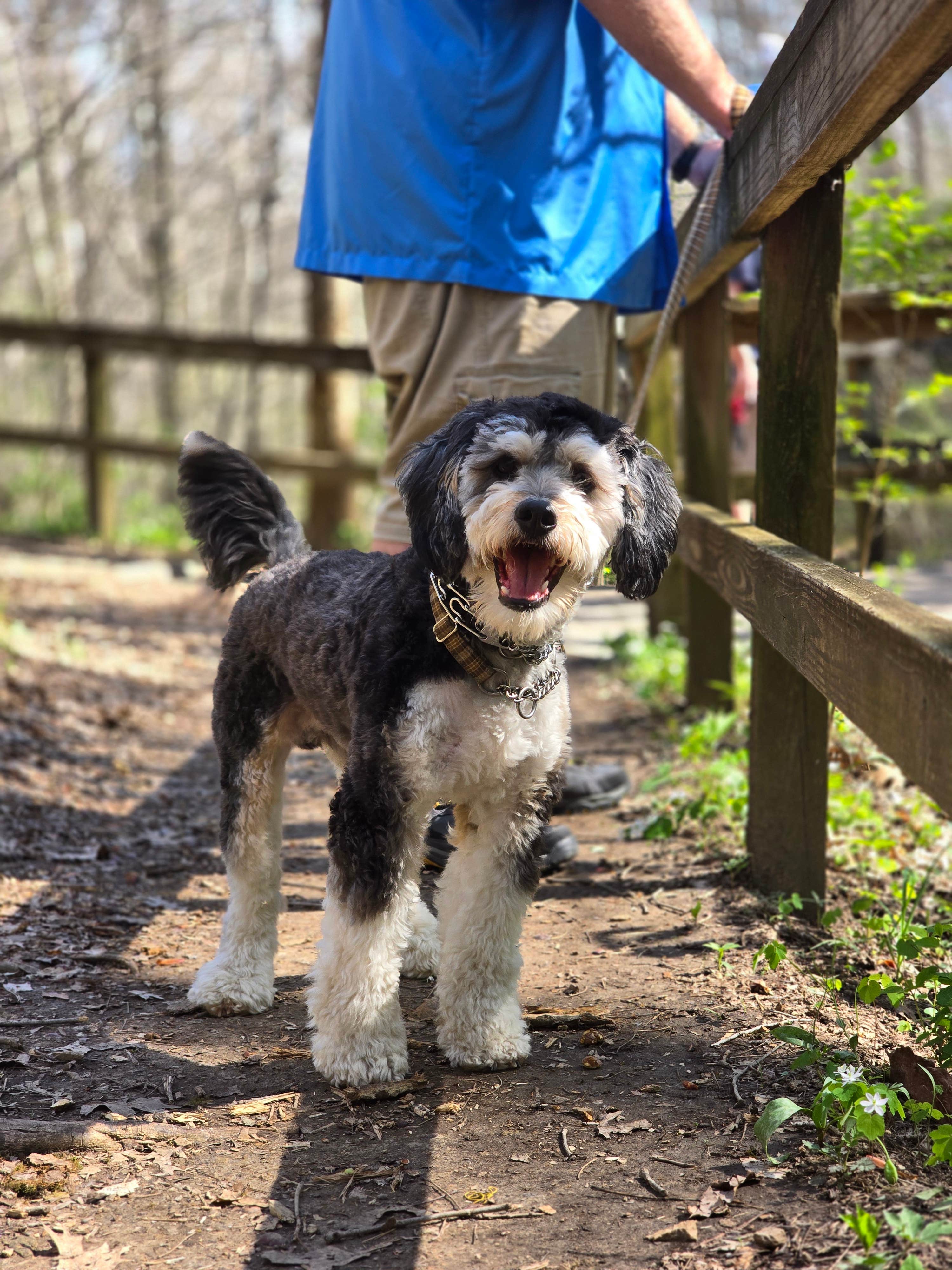 Makada L.'s photo of camping with pets at Charlestown State Park Campground near Salem, IN