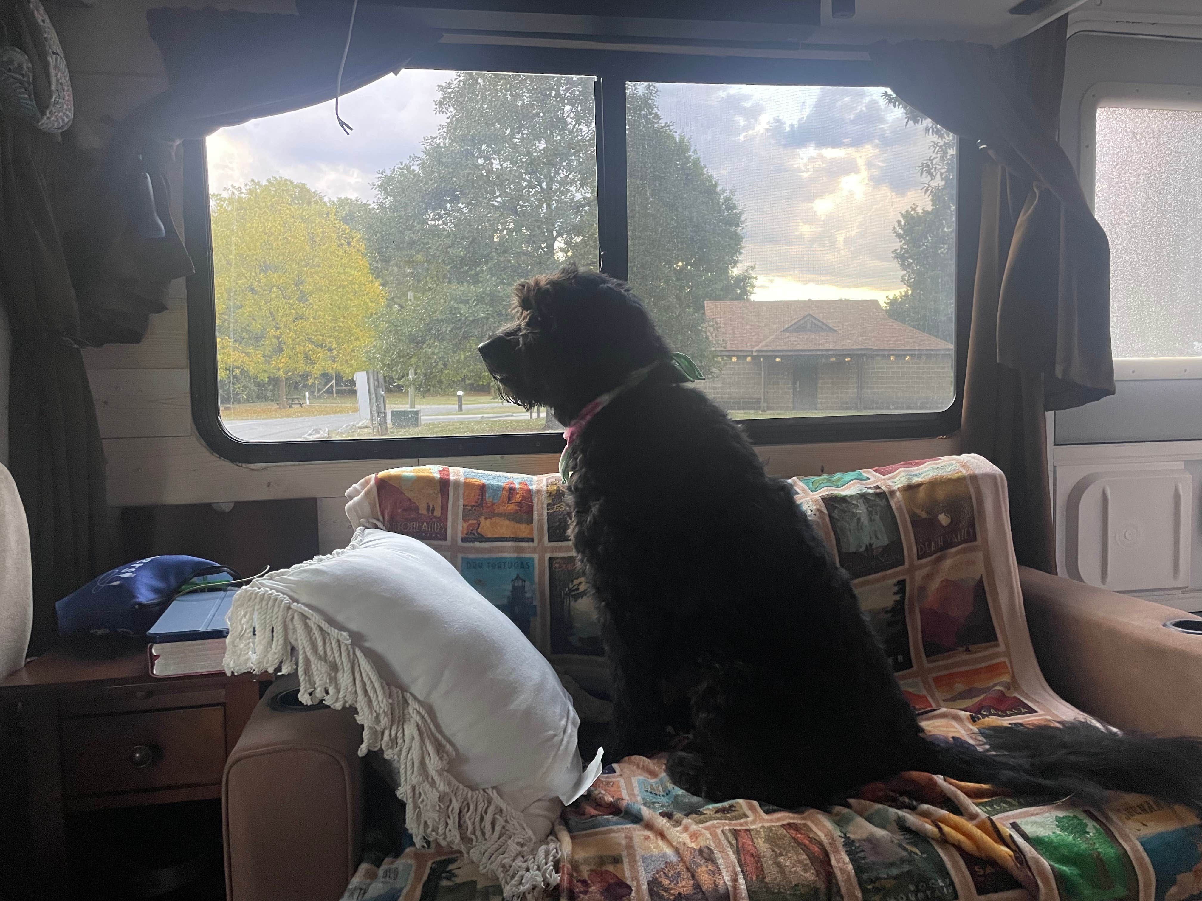 Donna T.'s photo of camping with pets at Charlestown State Park Campground near Shelbyville, KY