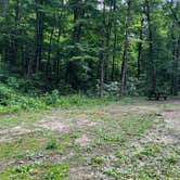 Review photo of Clark State Forest by Jordan C., May 19, 2024