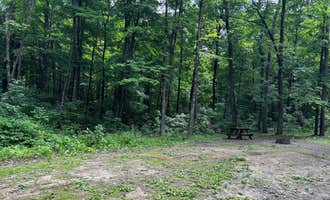 Camping near Birdsell Castle: Clark State Forest, Borden, Indiana