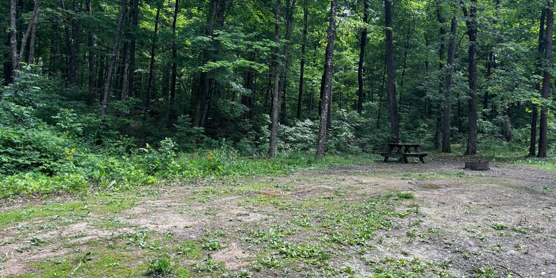 Camper submitted image from Clark State Forest