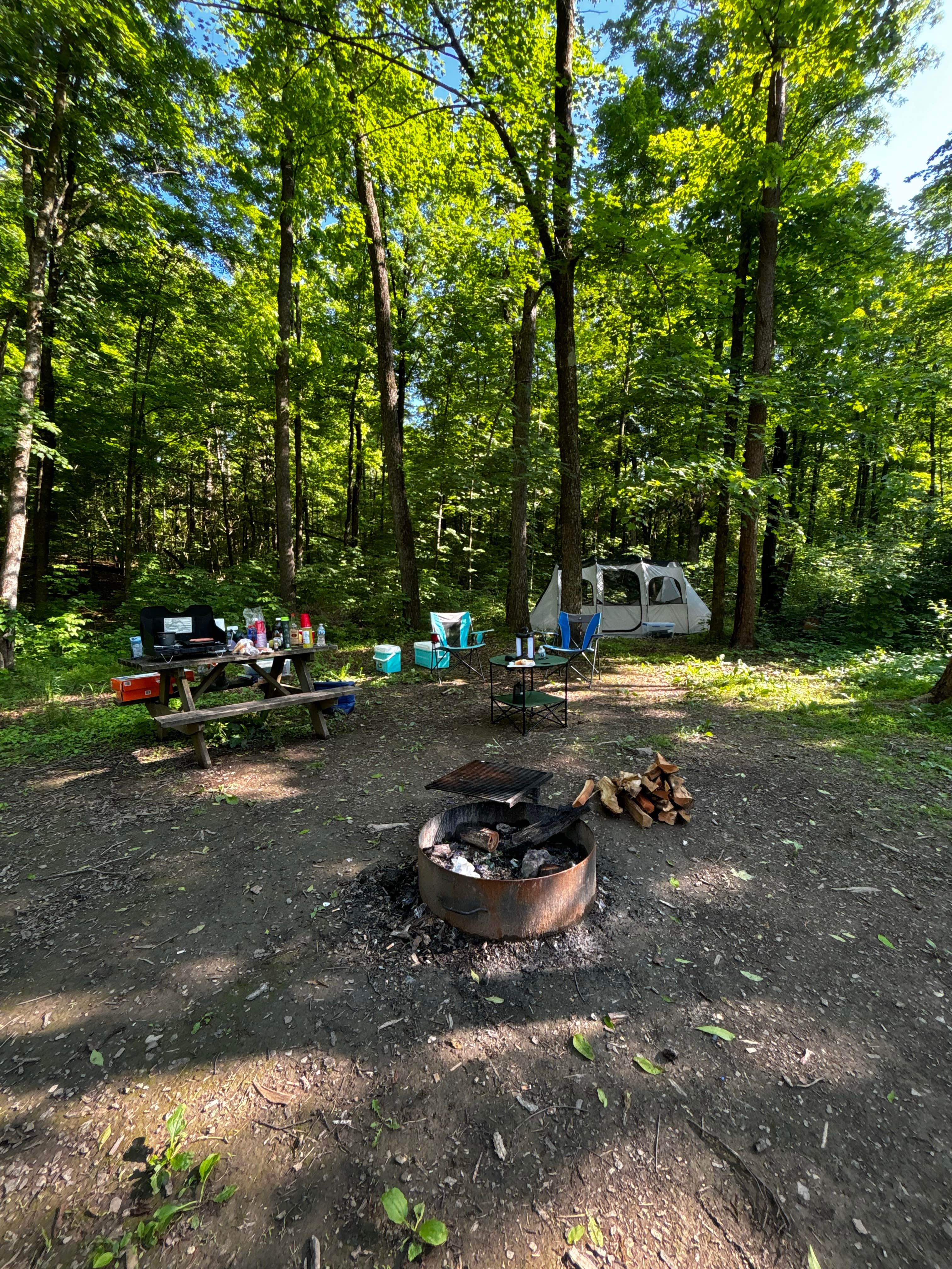 Camper-submitted photo at Clark State Forest near Floyds Knobs, IN