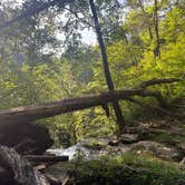 Review photo of Clifty Falls State Park Campground by Kyle J., August 4, 2025