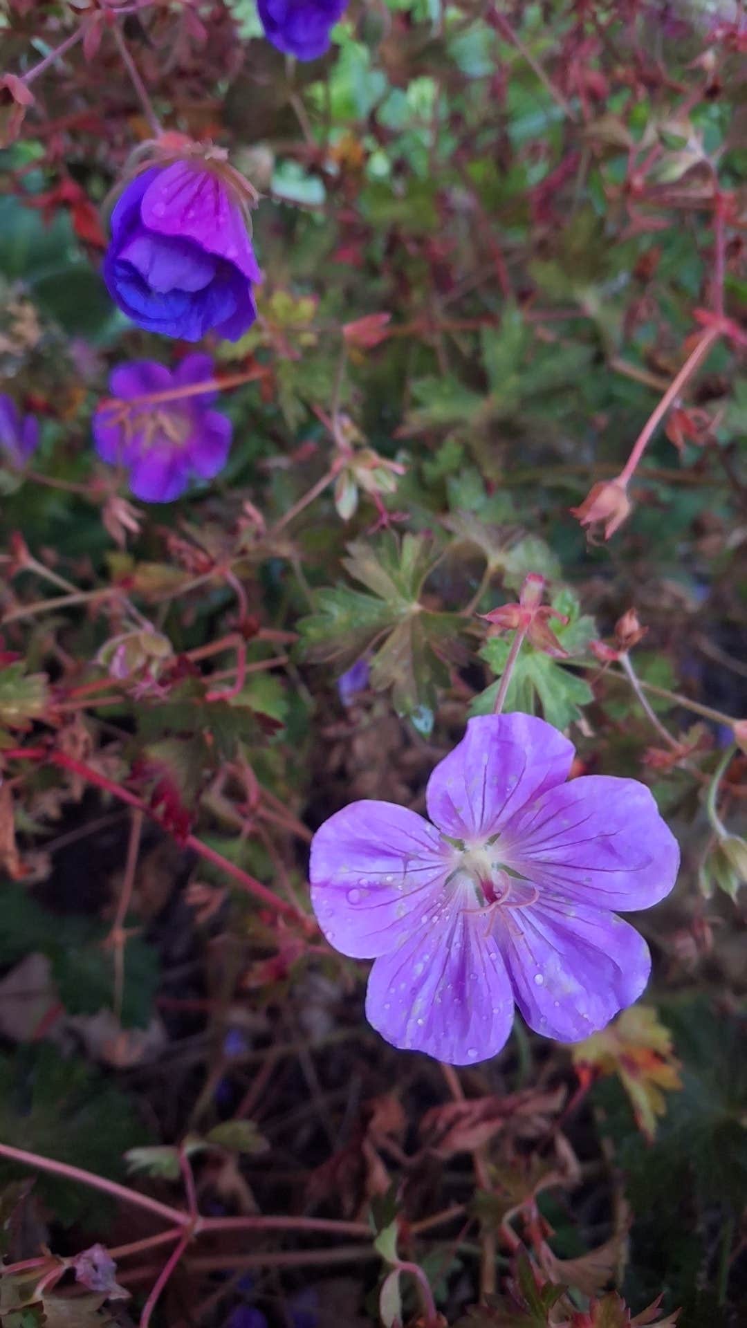 Indiana Dunes National Park Visitor Center
