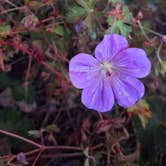 Review photo of Indiana Dunes National Park Visitor Center by Kara D., September 7, 2025