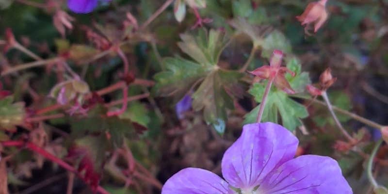 Camper submitted image from Indiana Dunes National Park Visitor Center