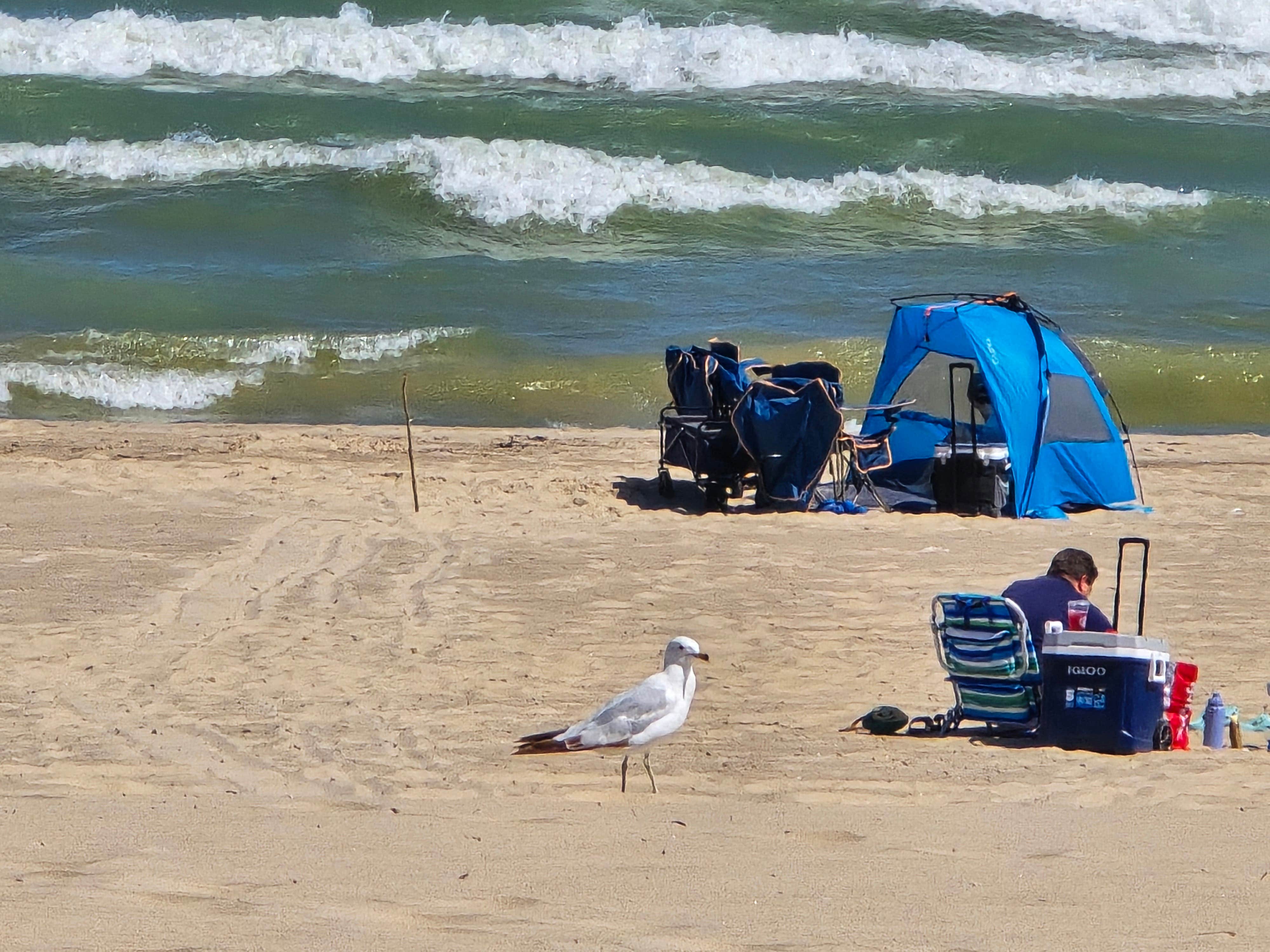 Kirk B.'s photo at Indiana Dunes State Park Campground near Indiana Dunes National Lakeshore