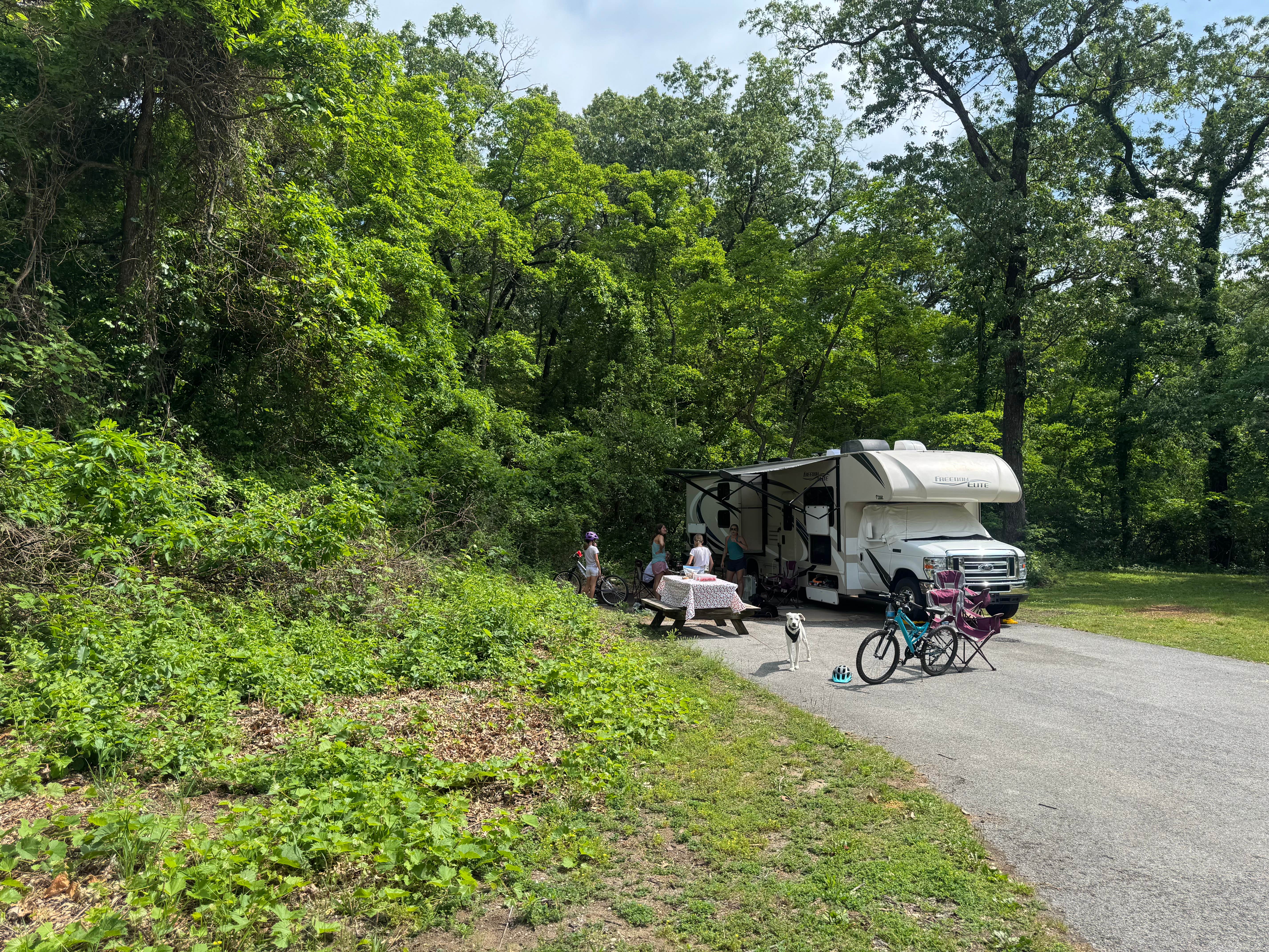 Michael M.'s photo of camping with pets at Indiana Dunes State Park Campground near Morton Grove, IL