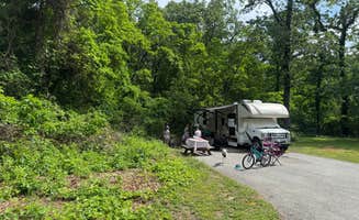 Michael M.'s photo of camping with pets at Indiana Dunes State Park Campground near Michigan City, IN
