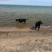 Review photo of Indiana Dunes State Park Campground by Beth D., May 12, 2026