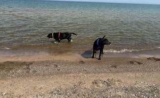 Beth D.'s photo of camping with pets at Indiana Dunes State Park Campground near Michigan City, IN