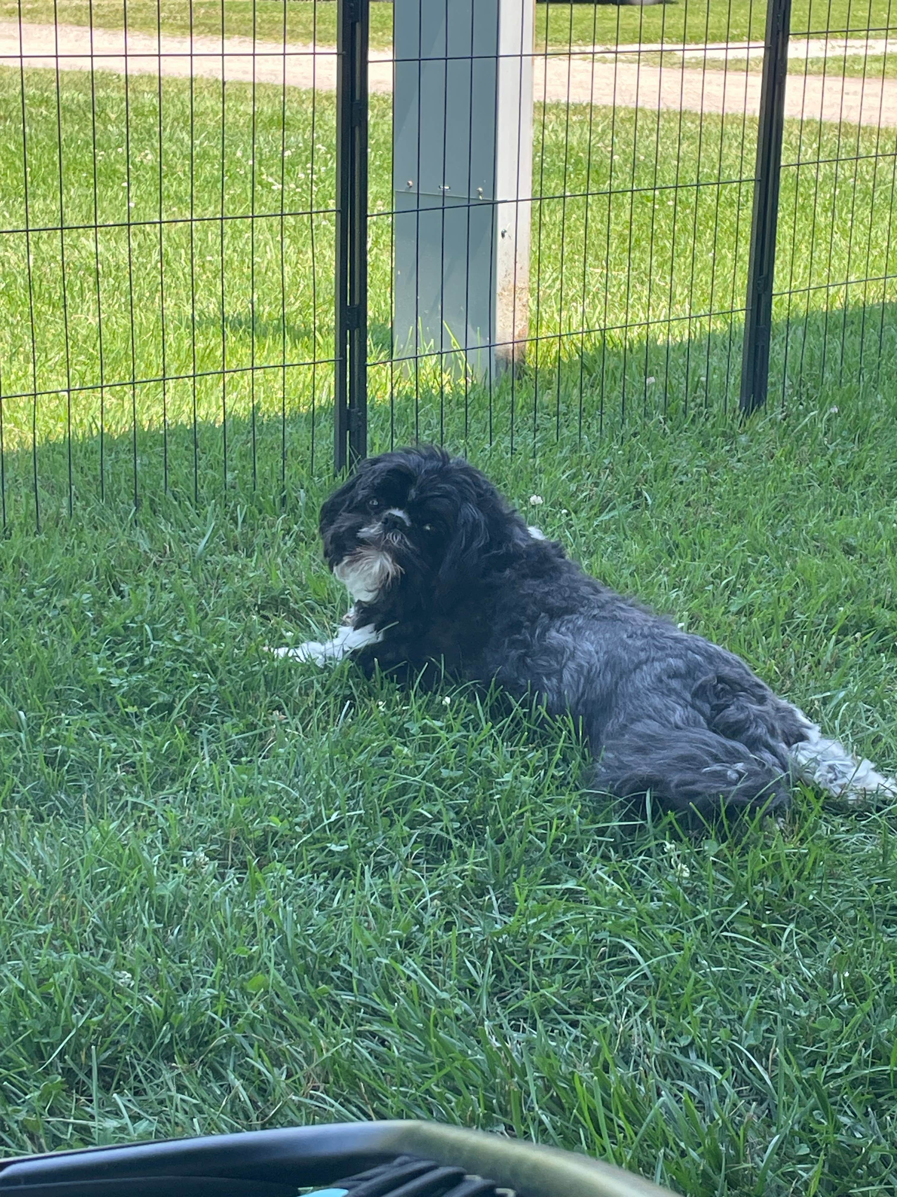 Camper-submitted photo at Heflen Park near Franklin, IN