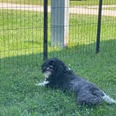 Review photo of Heflen Park by Sukie P., March 8, 2026