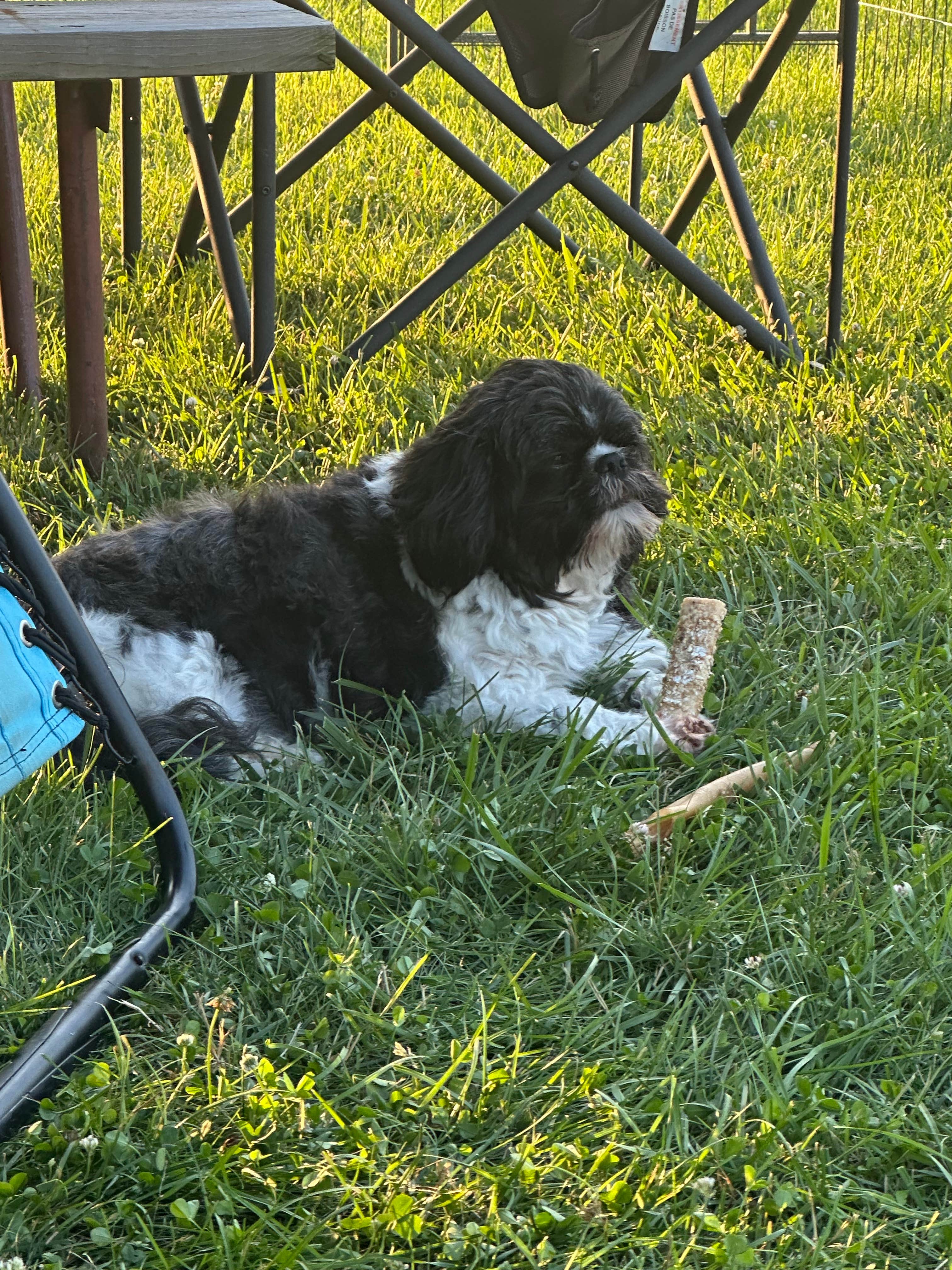 Camper-submitted photo at Heflen Park near Franklin, IN