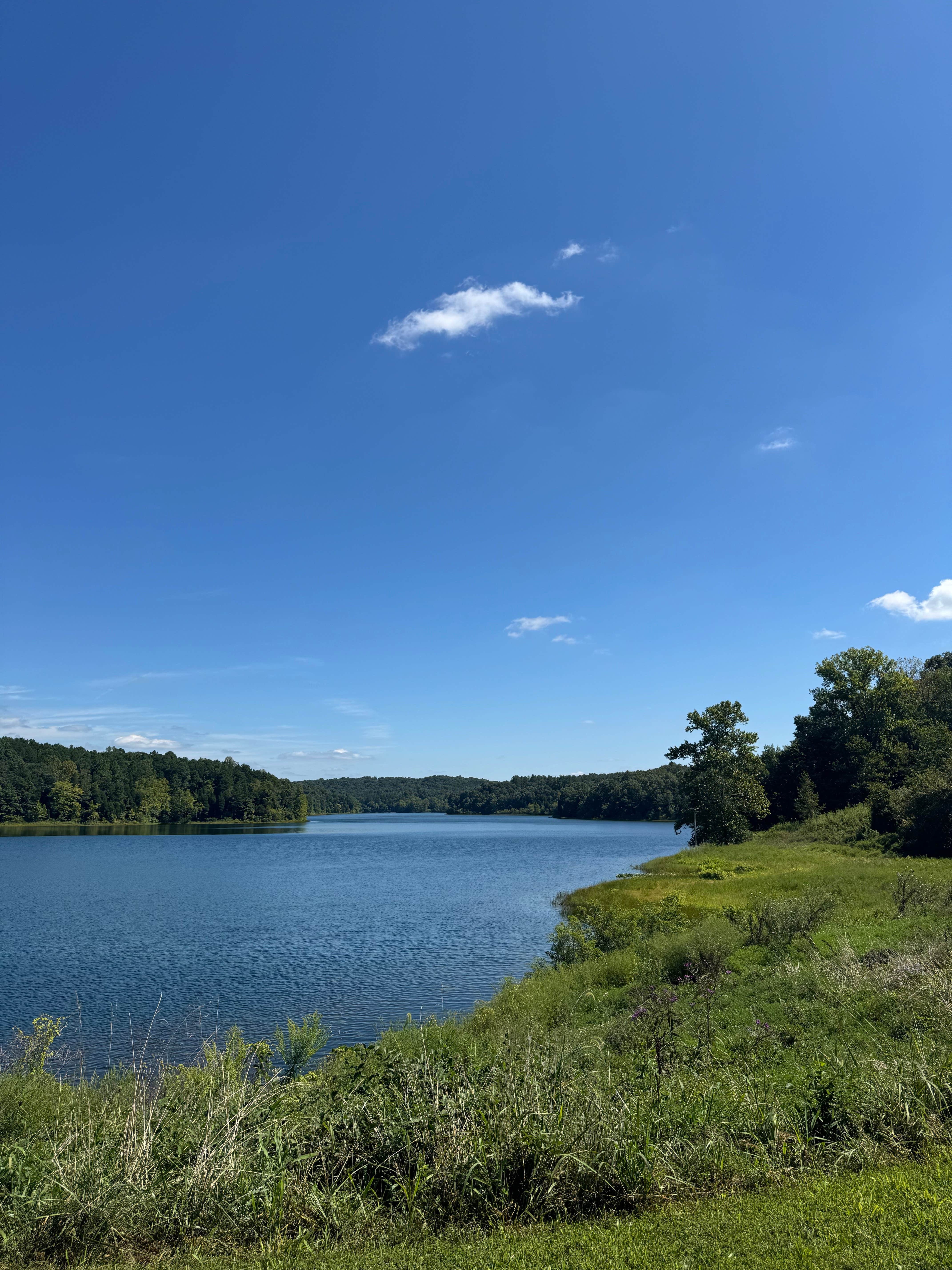 Camper submitted image from Hoosier National Forest South Slope Loop Campground - 4