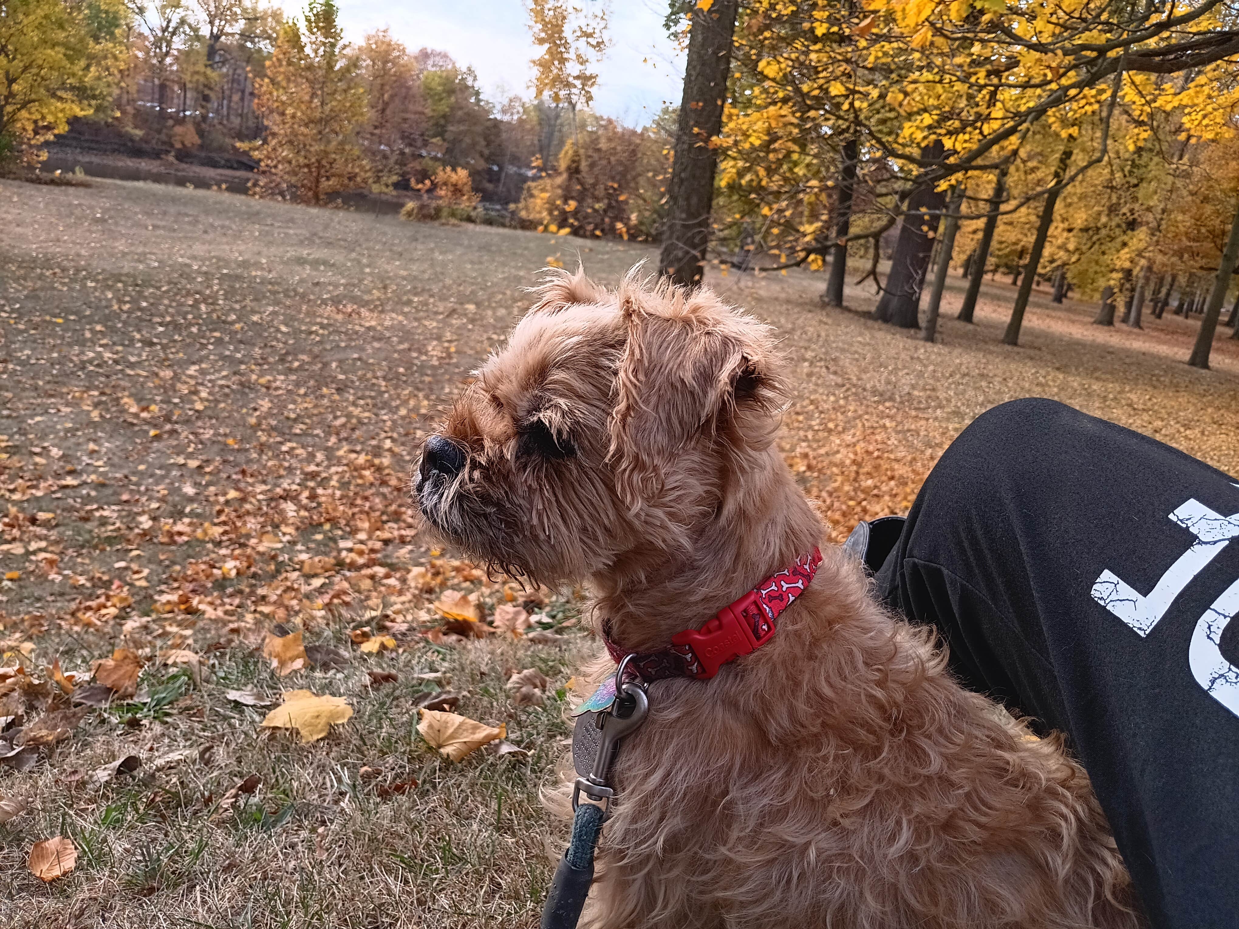 Camper-submitted photo at Johnny Appleseed Campground near Paulding, OH