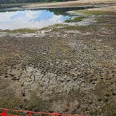 Review photo of Lake Lincoln Campground — Lincoln State Park by Tom B., July 22, 2025