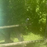 Review photo of Lost Bridge West by Geoffrey F., May 16, 2026