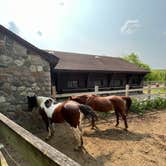 Review photo of Pokagon State Park Campground by Amy K., June 4, 2025