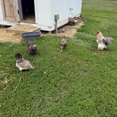 Review photo of Prophetstown State Park Campground by Scott B., July 24, 2026