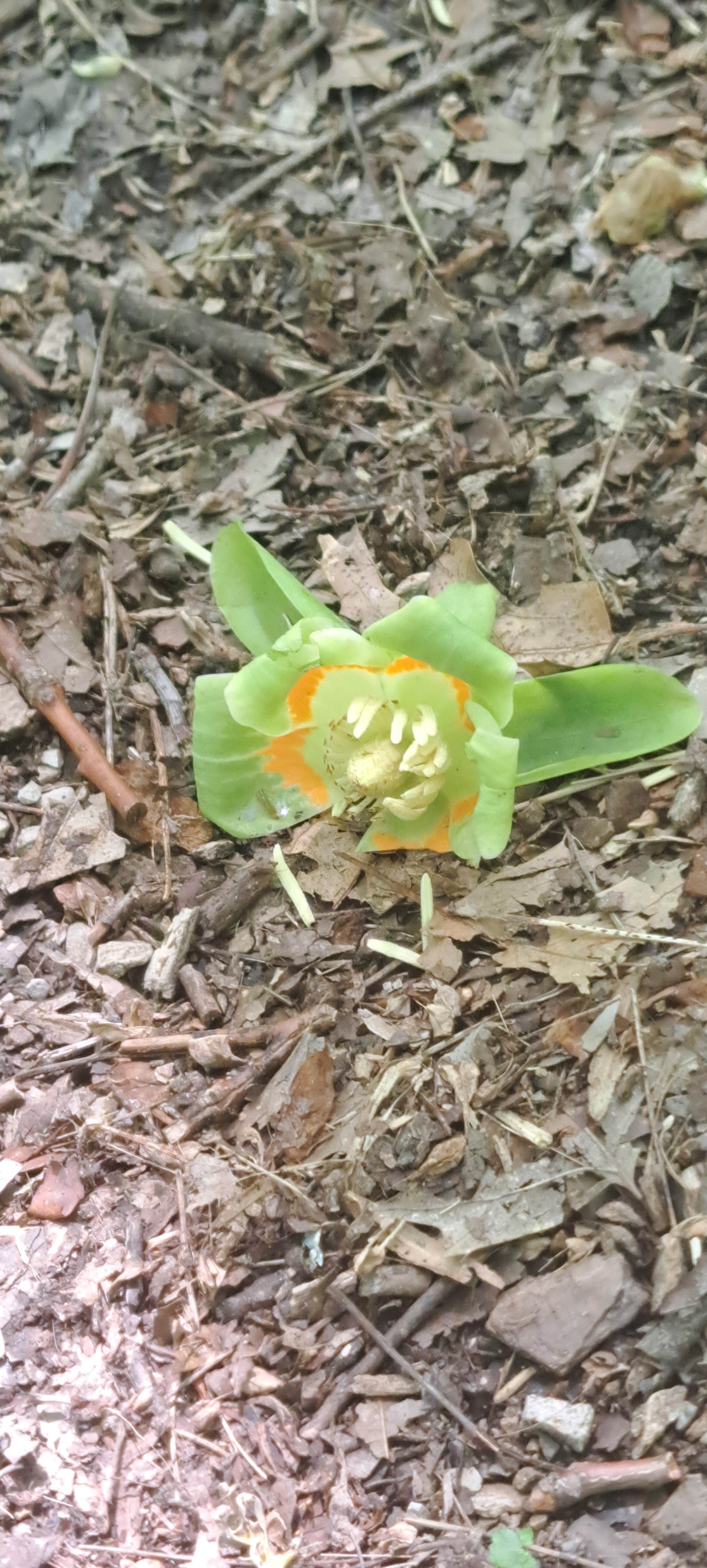 Camper-submitted photo at Shakamak State Park Campground near Loogootee, IN