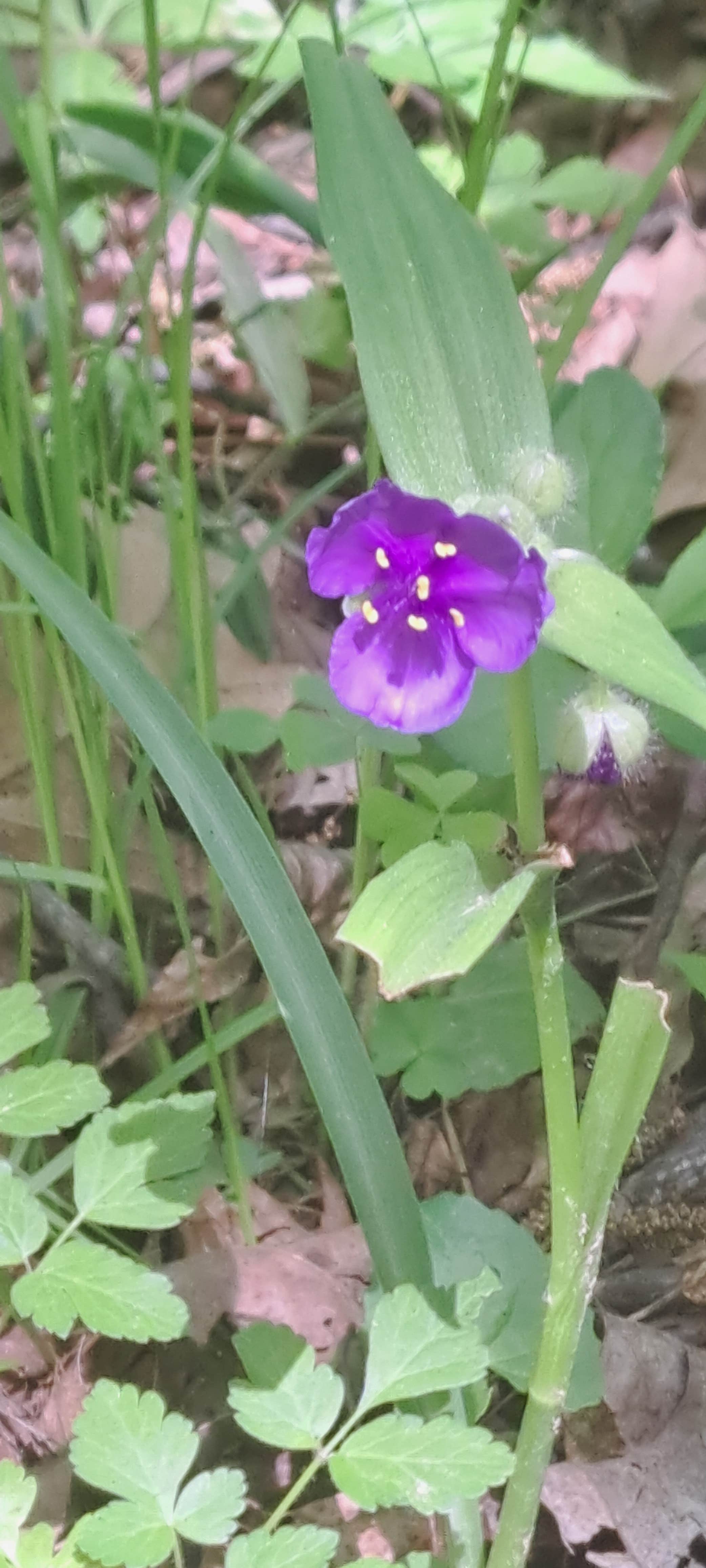Camper-submitted photo at Shakamak State Park Campground near Loogootee, IN