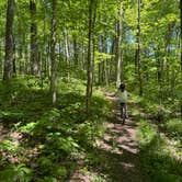 Review photo of Spring Mill State Park Campground by Michael M., May 9, 2026