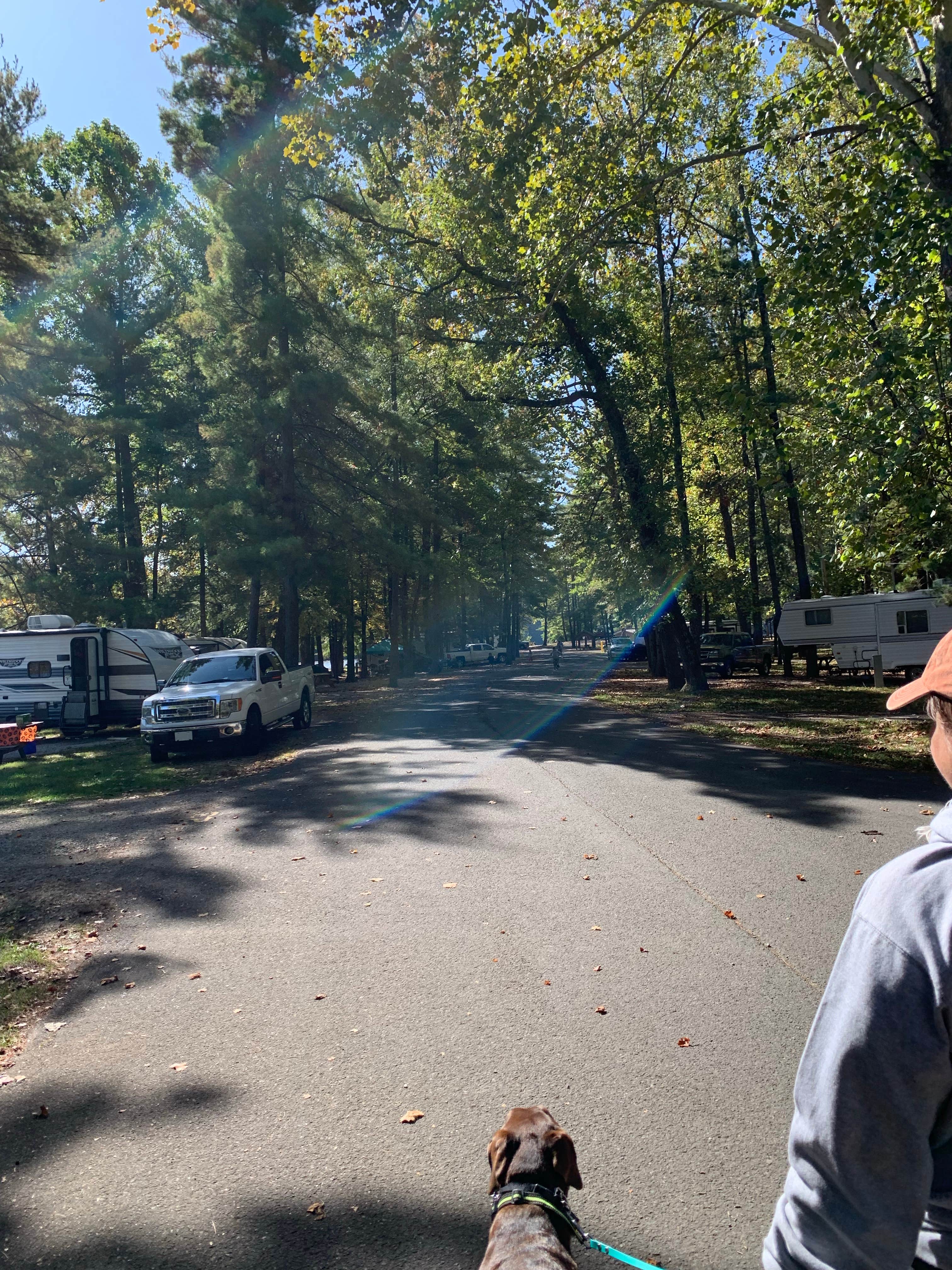 Brandi M.'s photo of camping with pets at Starve Hollow State Rec Area Campground near Seymour, IN
